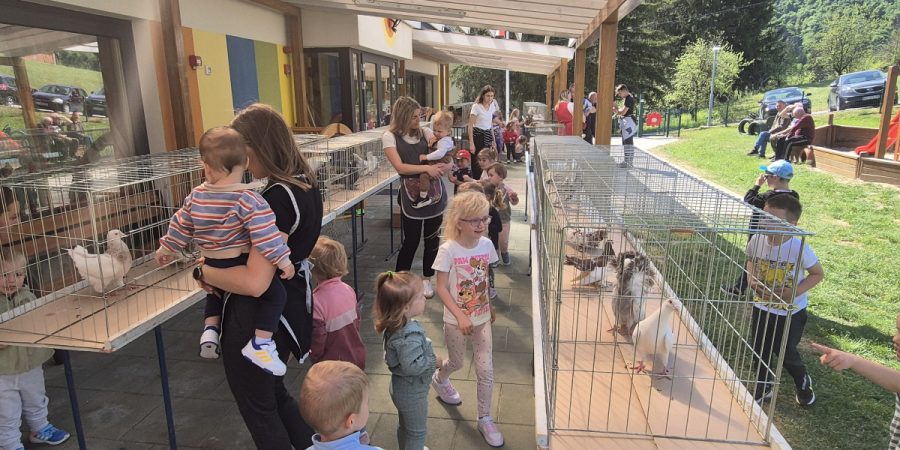 UDRUGA MALIH ŽIVOTINJA U VIŠNJICI